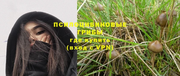 винт Армянск