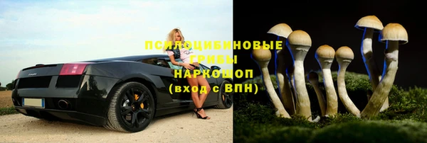 винт Армянск