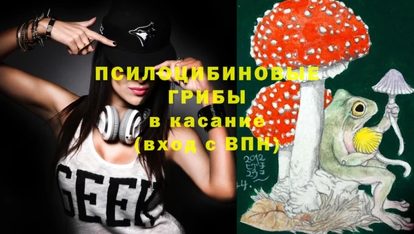spice Арсеньев
