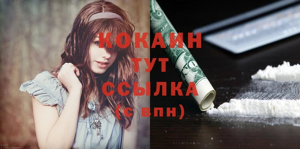 spice Арсеньев